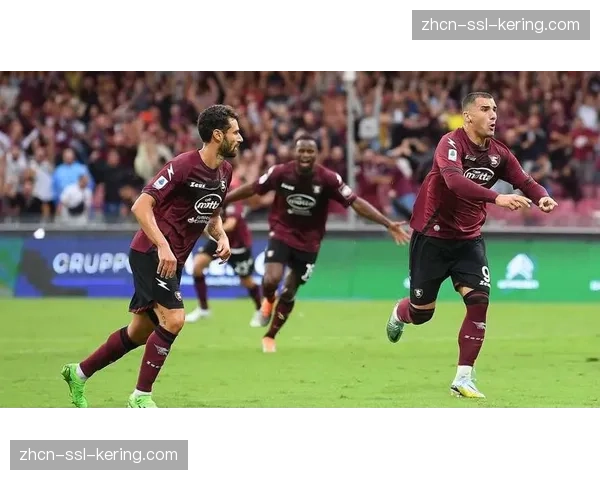 萨勒尼塔纳新球场建设计划获批,预计将于2028-29赛季投入使用 萨勒尼塔纳新球场建设计划获批,预计将于2028-29赛季投入使用